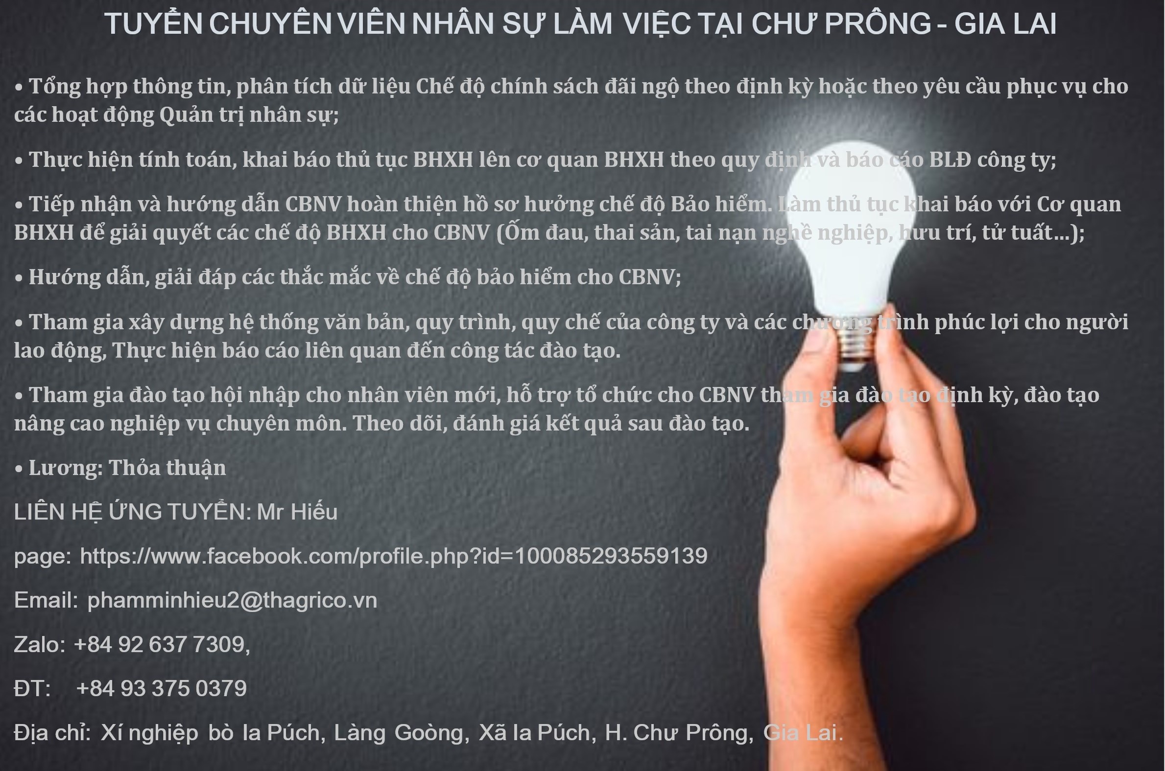 lĩnh vực hoạt động